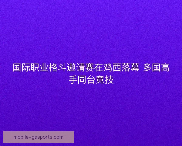 国际职业格斗邀请赛在鸡西落幕 多国高手同台竞技