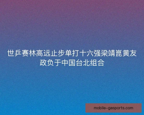 世乒赛林高远止步单打十六强梁靖崑黄友政负于中国台北组合